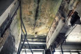 Best Mold Removal for HVAC Installations  in Ballston Spa, NY